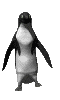 GIF of a penguin performing an intimidating dance